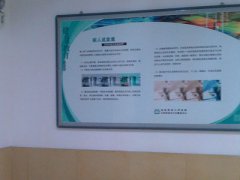 文化長(zhǎng)廊